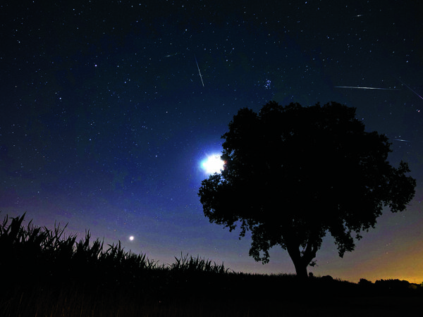 Nacht, Dennis van de Water.jpg