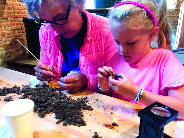 Uilenballen pluizen - Bernadette Koopmans.jpg