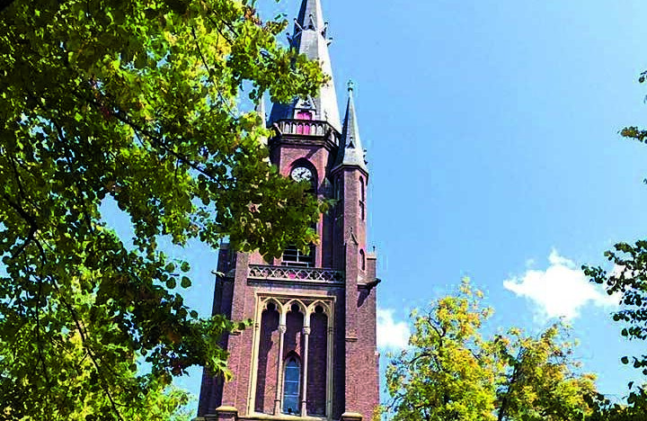 Basiliek foto Ilma Hettema sept 2017