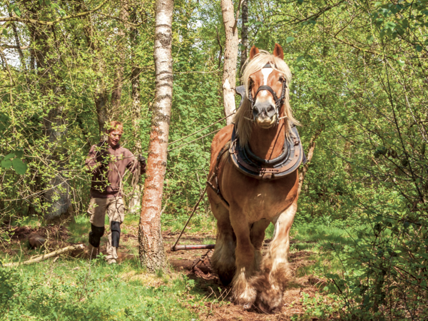 Schermafbeelding 2025-10-15 om 10.56.34.png