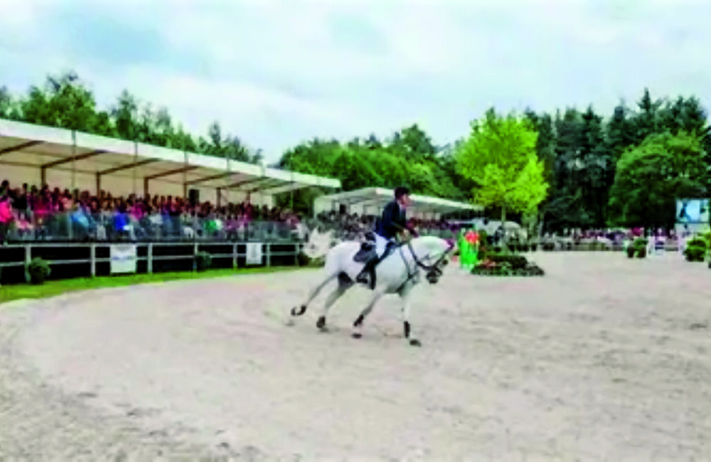 jumping schroder 1.jpg