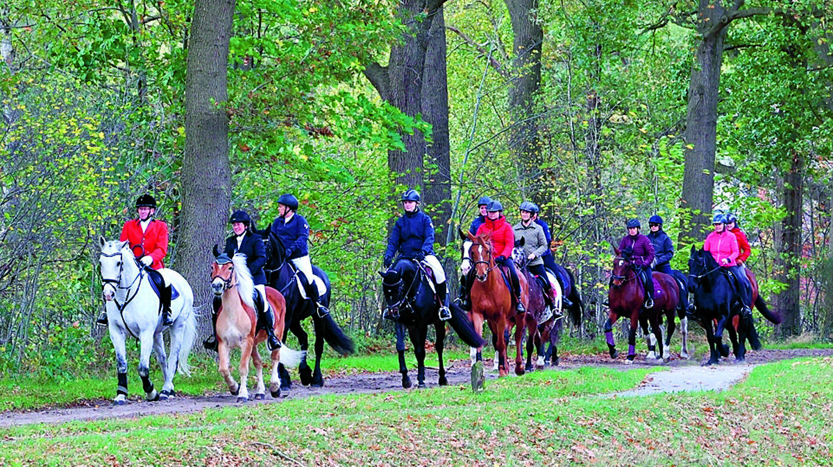 aankondiging Hubertusrit in Op en rond de Essen.jpg