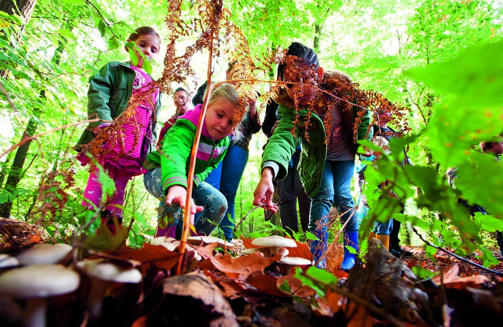 LO145181600, Cees Elzenga.jpg