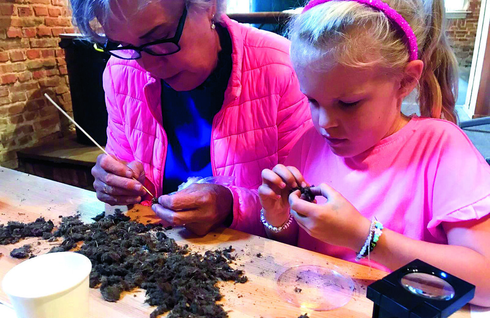 Uilenballen pluizen - Bernadette Koopmans.jpg