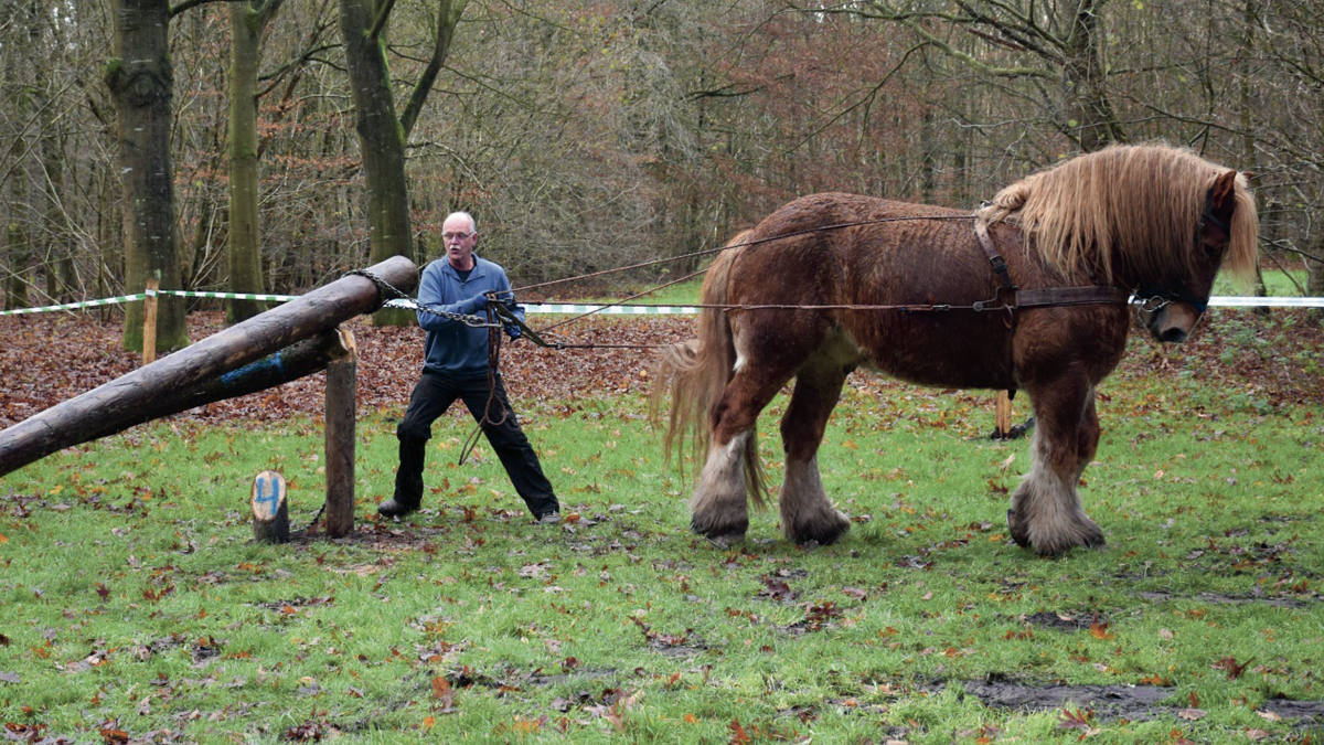 Schermafbeelding 2025-10-15 om 10.56.44.png