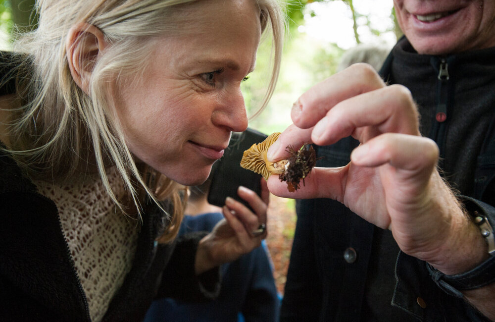 Excursie paddenstoelen - Cees Elzanga