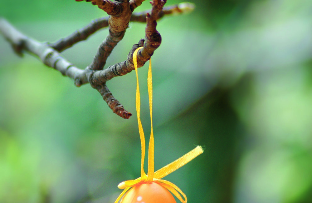 Pasen-ei aan tak.jpg