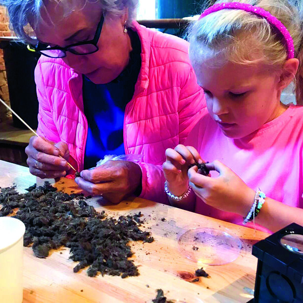 Uilenballen pluizen - Bernadette Koopmans.jpg