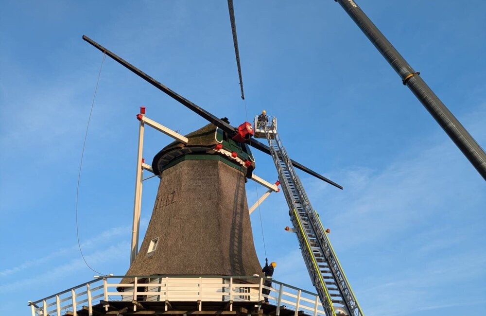 Verwijderen Roeden 3