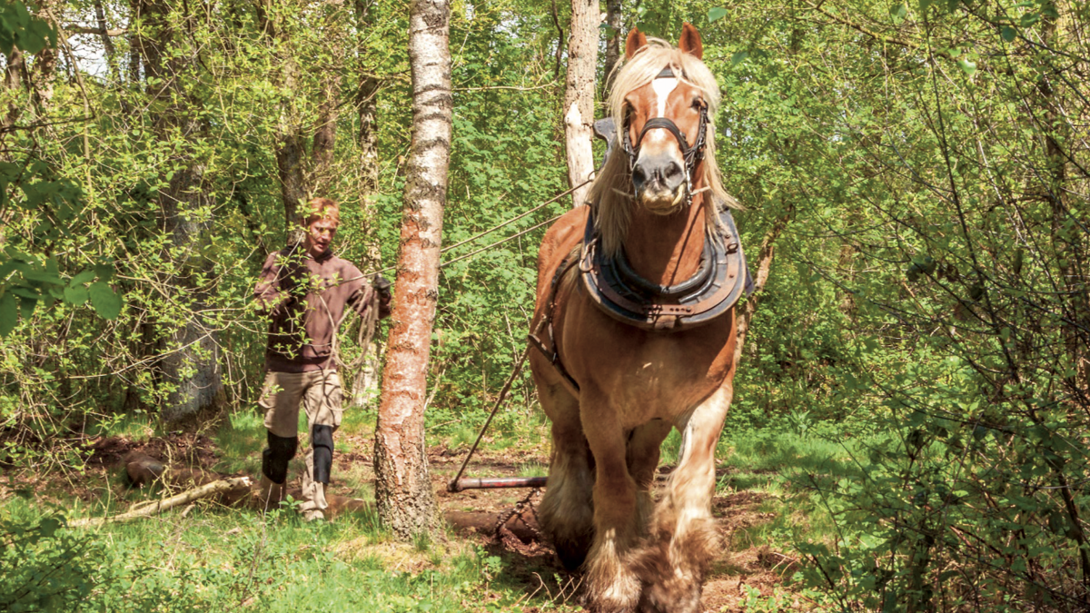 Schermafbeelding 2025-10-15 om 10.56.34.png